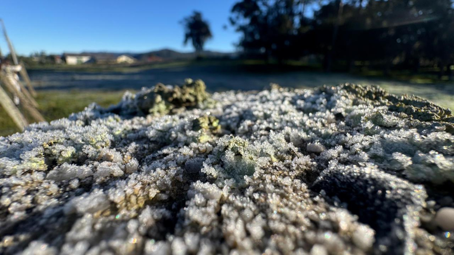 Urubici registra -2,19ºC e amanhece com geada nesta segunda-feira