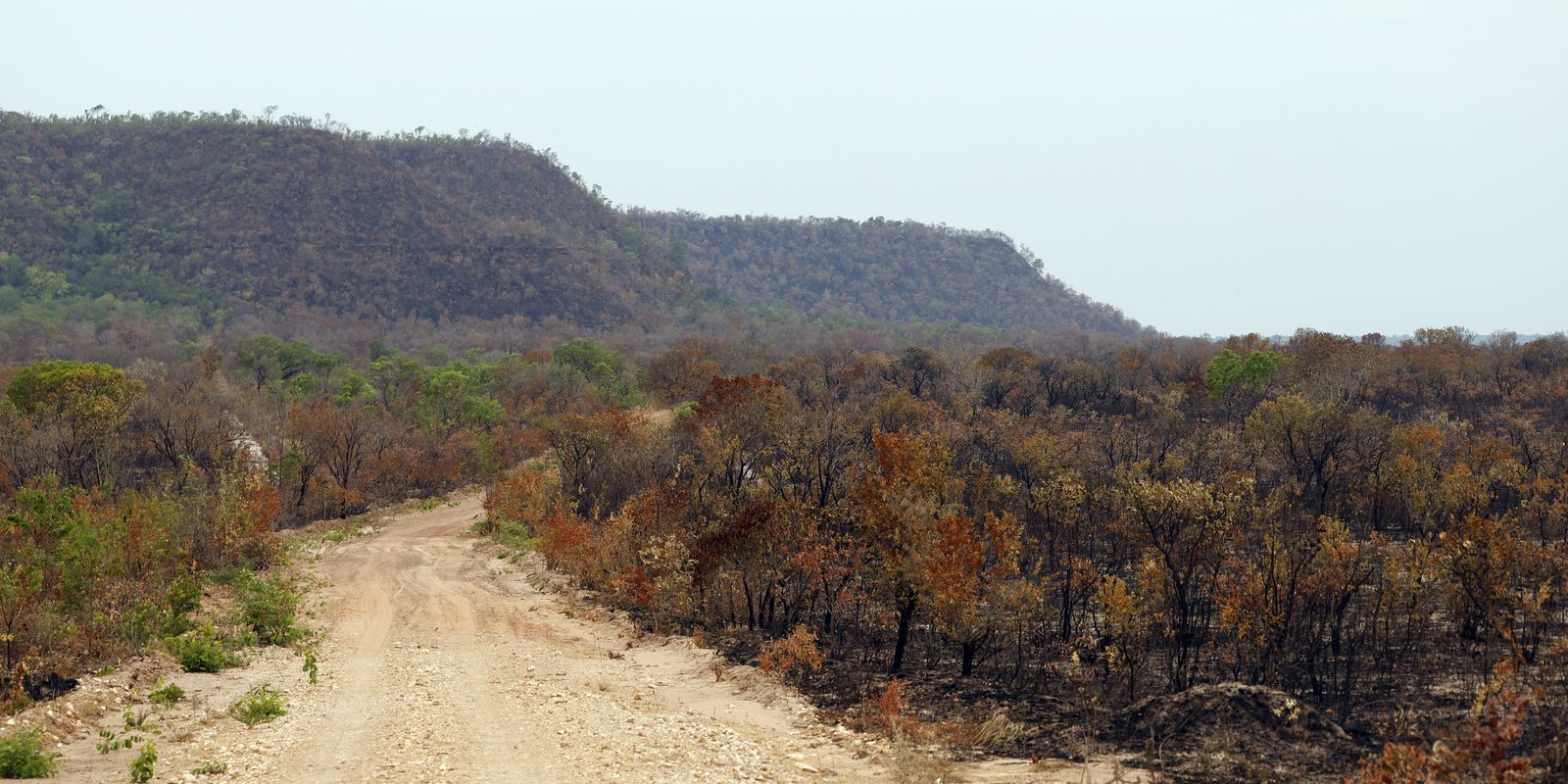 Mapbiomas: menor vegetação nativa expõe mais o país ao El Niño